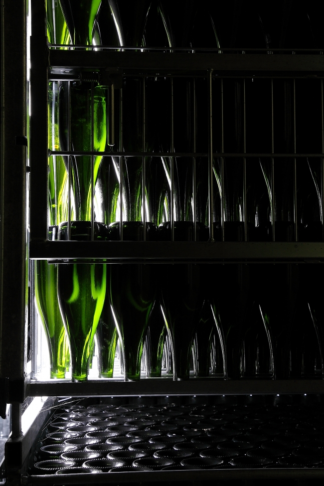 Champagne DE REKENEIRE-PETIT - 