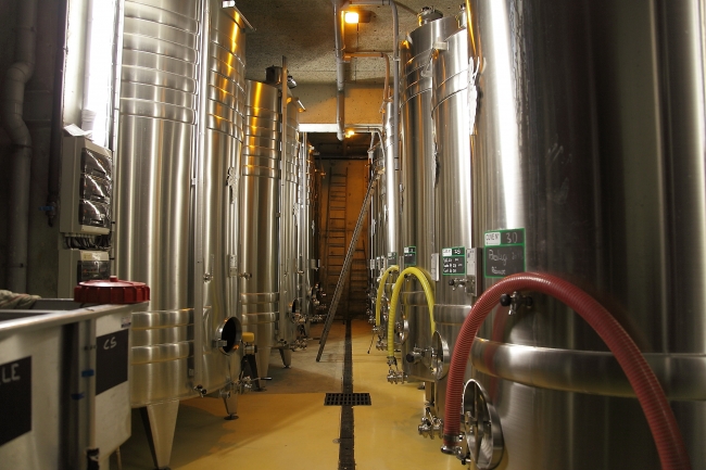 Champagne DE REKENEIRE-PETIT - 