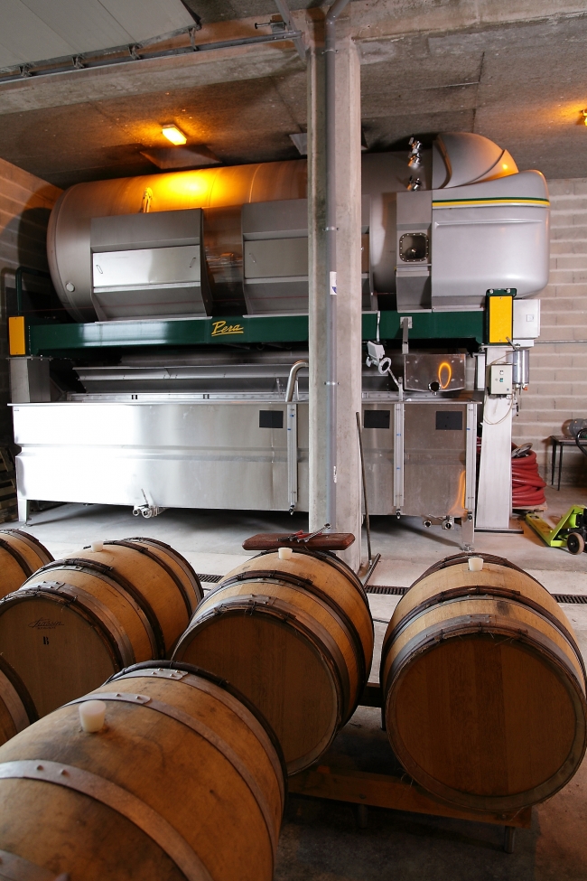 Champagne DE REKENEIRE-PETIT - 