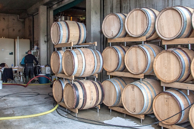 Champagne DE REKENEIRE-PETIT - 